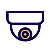 Surveillance & security icon